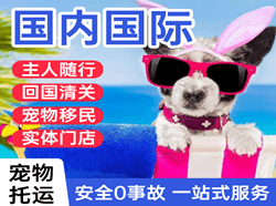 常州奔牛航空快运国际宠物托运 【国